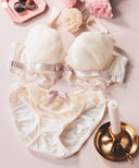 Bra & Panty Set (with wire) fb172