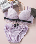 Bra & Panty Set (with wire) fb172
